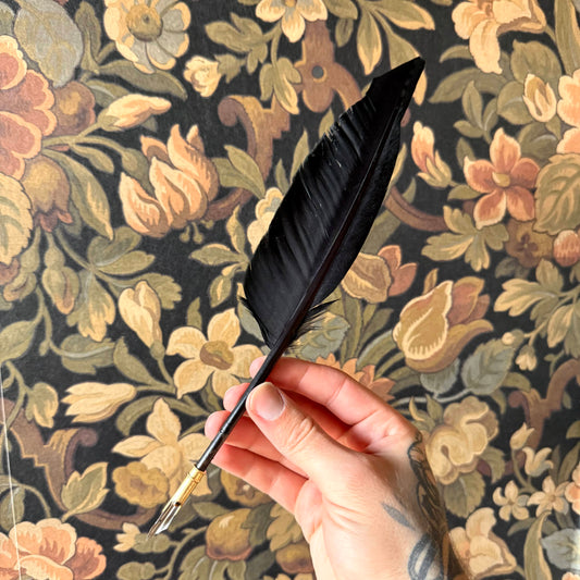 A 12-inch black goose feather quill with an ornate brass nib holder, elegantly displayed on a vintage writing desk.