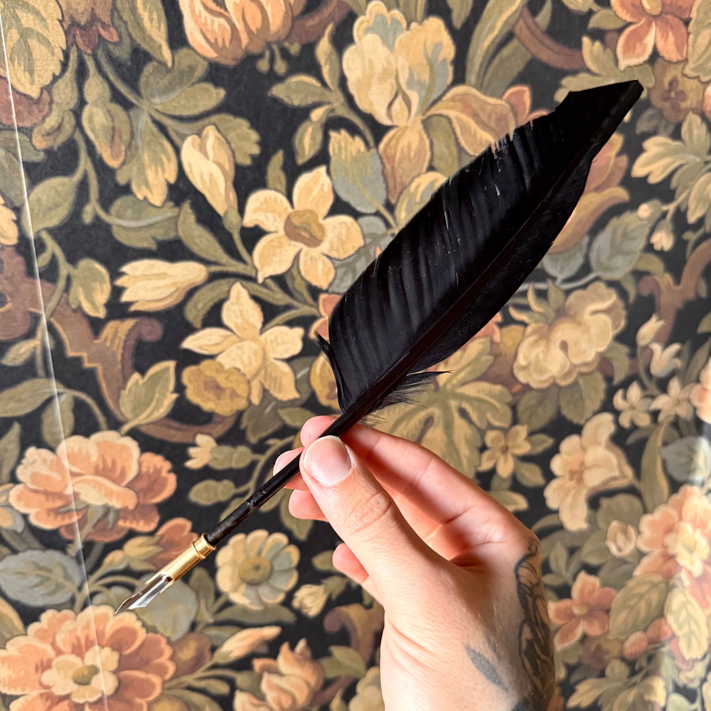 A 12-inch black goose feather quill with an ornate brass nib holder, elegantly displayed on a vintage writing desk.