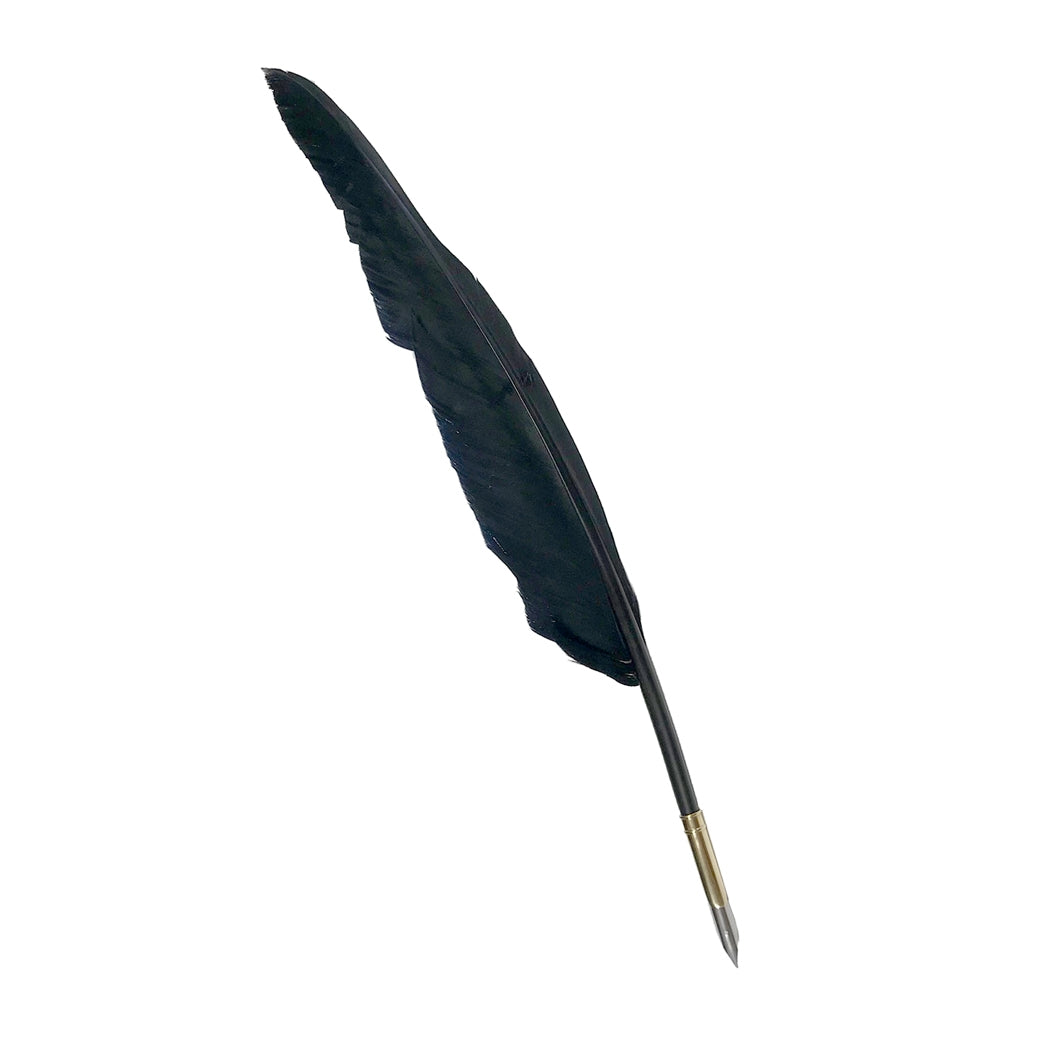 A 12-inch black goose feather quill with an ornate brass nib holder, elegantly displayed on a vintage writing desk.
