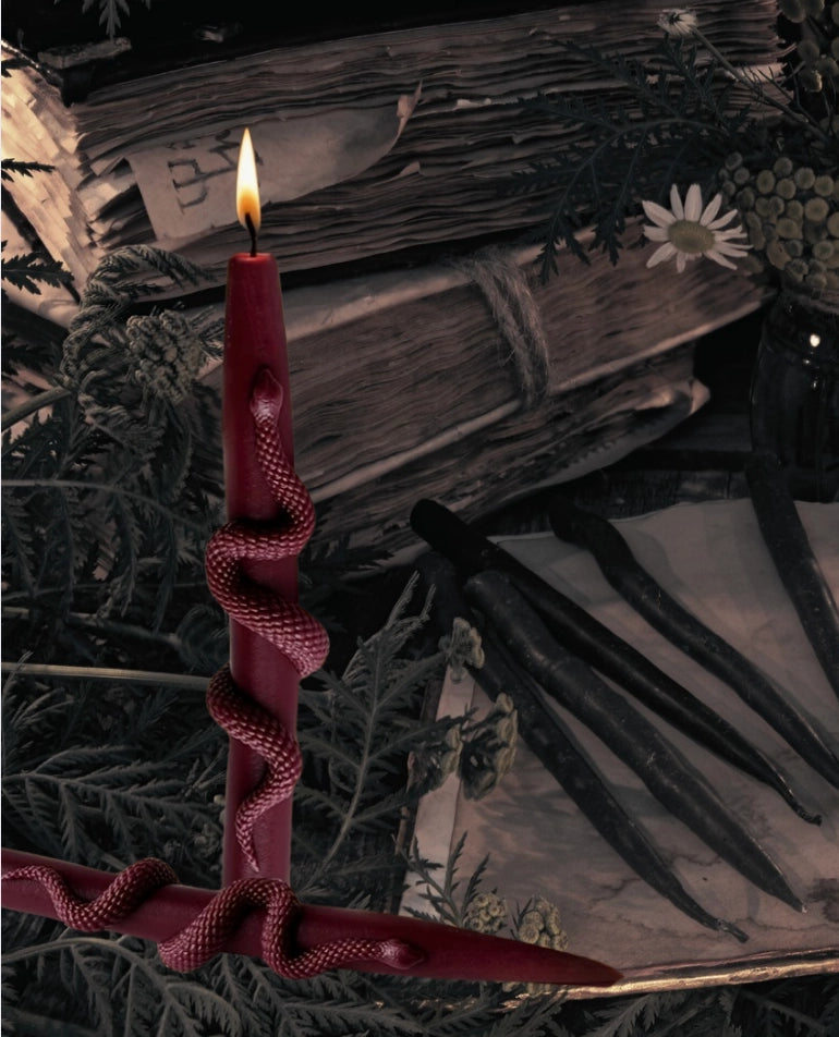 A dark red wax candle wrapped with a red snake motif, lit with a flame, set against a gothic background of old books, dried foliage, and black tools.