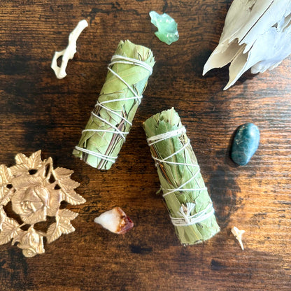 A close-up image of a eucalyptus smudge stick. The bundle features dried eucalyptus leaves tightly wrapped together with natural twine, forming a cylindrical shape. The leaves are a muted green color, with some light brown tones where they have dried. The smudge stick gives off an earthy and cleansing aura, perfect for rituals or purification practices. The texture of the leaves and twine is clearly visible, adding a natural, rustic feel to the image.